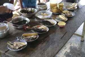 Bowls of amazon river food displayed on a wooden table.