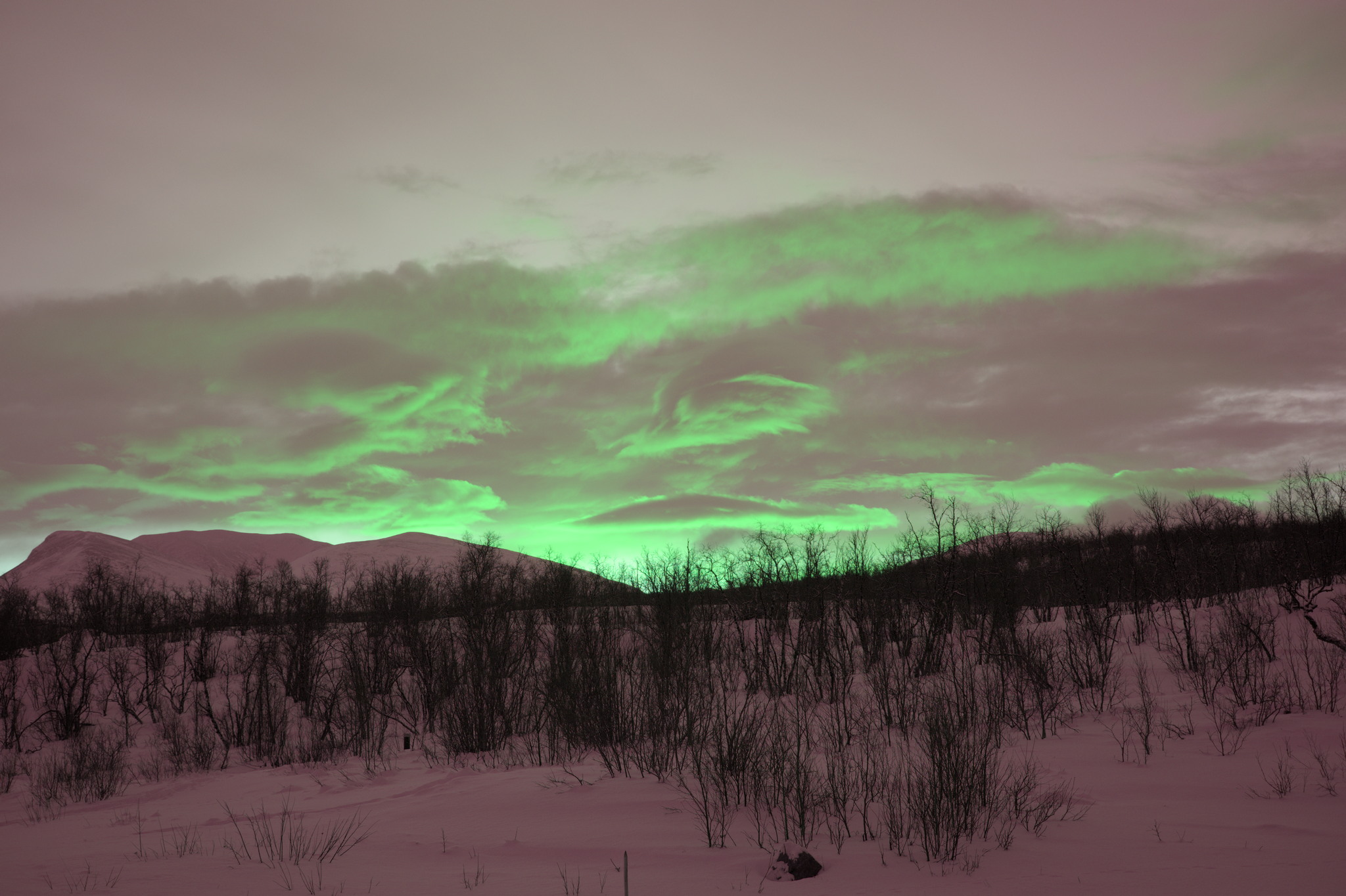 Blue sky day in Abisko